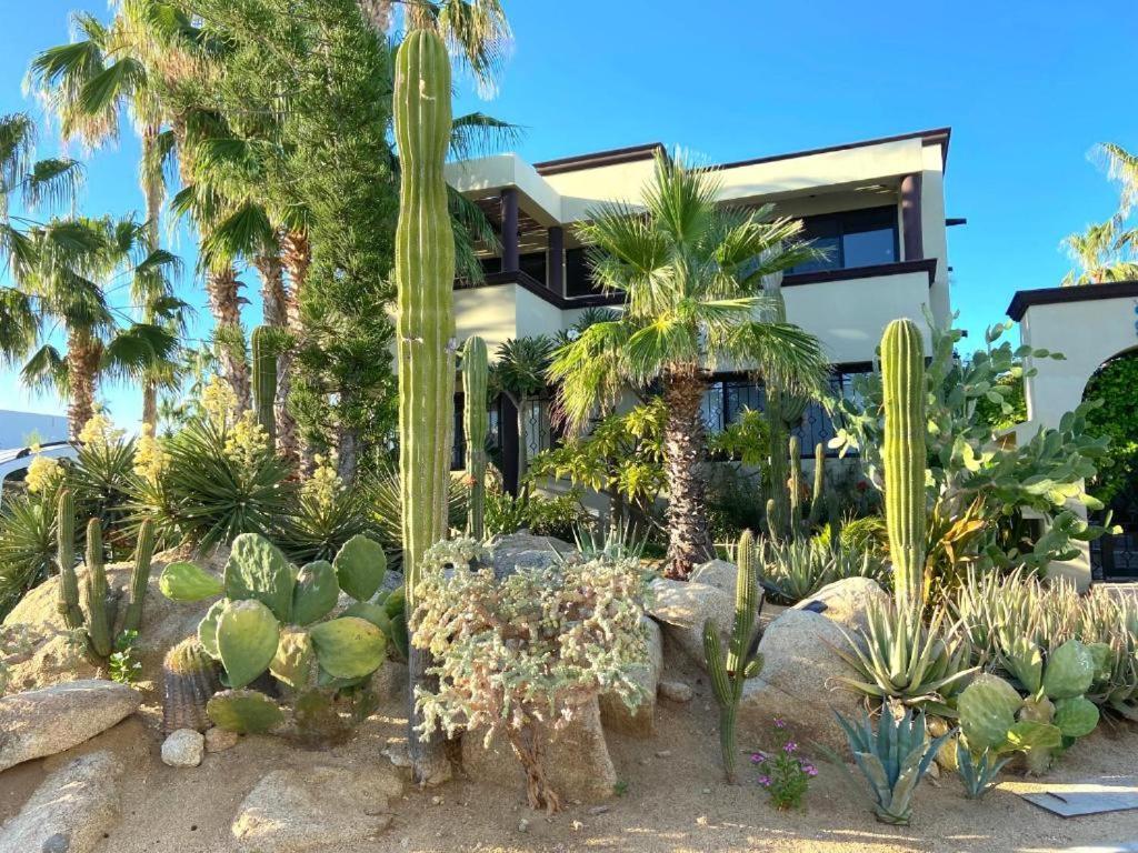 Spectacular Vacation Home Ocean View Walk To Beach Κάβο σαν Λούκας Εξωτερικό φωτογραφία